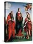Immaculate Conception Appears to St. Anne-Francia Raibolini-Stretched Canvas