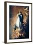 Immaculate Conception of Soult-Bartolome Esteban Murillo-Framed Art Print