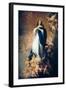 Immaculate Conception of Soult-Bartolome Esteban Murillo-Framed Art Print