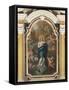 Immaculate Conception-Giuseppe Camerata-Framed Stretched Canvas