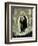 Immaculate Conception-Francisco Pacheco-Framed Giclee Print