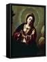 Immaculate Conception-null-Framed Stretched Canvas