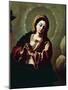 Immaculate Conception-null-Mounted Giclee Print