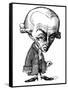 Immanuel Kant, Caricature-Gary Gastrolab-Framed Stretched Canvas