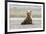 Immature coastal grizzly bear sits on beach. Lake Clark National Park, Alaska.-Brenda Tharp-Framed Premium Photographic Print