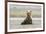 Immature coastal grizzly bear sits on beach. Lake Clark National Park, Alaska.-Brenda Tharp-Framed Photographic Print