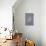 Immature Roseate Spoonbill (Platalea Ajaja)-Lynn M^ Stone-Stretched Canvas displayed on a wall