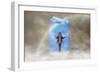 Immerse Yourself-Carrie Webster-Framed Giclee Print