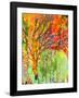 Immersed in Summer B-Jennifer Lommers-Framed Art Print