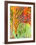 Immersed in Summer B-Jennifer Lommers-Framed Art Print