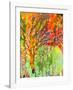 Immersed in Summer B-Jennifer Lommers-Framed Art Print