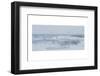 Immersed in the Salty Breeze-Jacob Berghoef-Framed Photographic Print