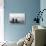 Immigrant Family Looking at New York Skyline-null-Framed Photographic Print displayed on a wall