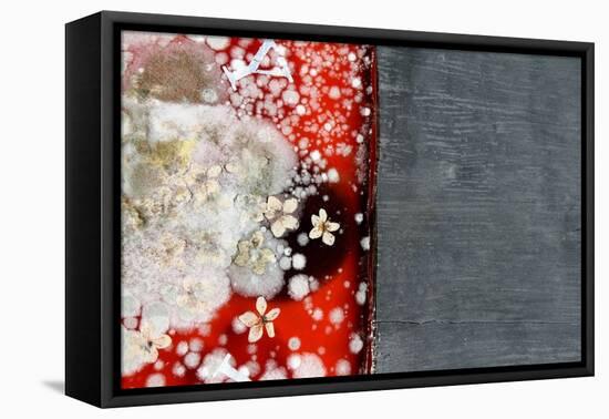 Immortality 2-Charlie Millar-Framed Stretched Canvas