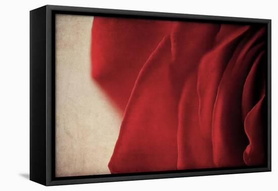 Immortalized-Jessica Rogers-Framed Stretched Canvas