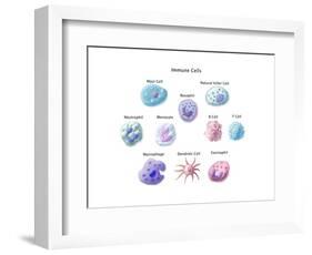 Immune Cells, Illustration-Spencer Sutton-Framed Art Print