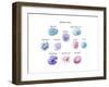 Immune Cells, Illustration-Spencer Sutton-Framed Art Print