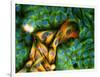 Immunofluorescent LM of Melanoma Cancer Cells-Nancy Kedersha-Framed Photographic Print