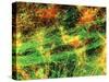 Immunofluorescent LM of Neurons & Astrocytes-Nancy Kedersha-Stretched Canvas