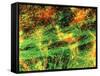 Immunofluorescent LM of Neurons & Astrocytes-Nancy Kedersha-Framed Stretched Canvas