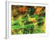 Immunofluorescent LM of Neurons & Astrocytes-Nancy Kedersha-Framed Photographic Print