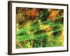 Immunofluorescent LM of Neurons & Astrocytes-Nancy Kedersha-Framed Photographic Print