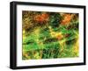 Immunofluorescent LM of Neurons & Astrocytes-Nancy Kedersha-Framed Photographic Print