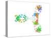 Immunoglobulin G Antibody Molecule-Laguna Design-Stretched Canvas