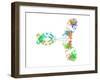 Immunoglobulin G Antibody Molecule-Laguna Design-Framed Photographic Print