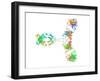 Immunoglobulin G Antibody Molecule-Laguna Design-Framed Photographic Print