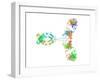 Immunoglobulin G Antibody Molecule-Laguna Design-Framed Photographic Print