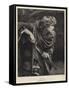 Imogen-Herbert Gustave Schmalz-Framed Stretched Canvas
