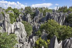 Stone Forest National Park in Yunnan Province-ImpakPro-Photographic Print