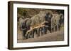 Impala and African elephants, Mashatu Reserve, Botswana-Art Wolfe-Framed Photographic Print