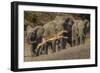 Impala and African elephants, Mashatu Reserve, Botswana-Art Wolfe-Framed Photographic Print