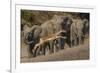 Impala and African elephants, Mashatu Reserve, Botswana-Art Wolfe-Framed Photographic Print