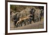 Impala and African elephants, Mashatu Reserve, Botswana-Art Wolfe-Framed Photographic Print