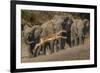 Impala and African elephants, Mashatu Reserve, Botswana-Art Wolfe-Framed Photographic Print