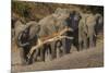 Impala and African elephants, Mashatu Reserve, Botswana-Art Wolfe-Mounted Photographic Print