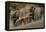 Impala and African elephants, Mashatu Reserve, Botswana-Art Wolfe-Framed Stretched Canvas