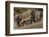 Impala and African elephants, Mashatu Reserve, Botswana-Art Wolfe-Framed Photographic Print