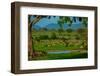 Impala at a Watering Hole, Mizumi Safari Park, Tanzania, East Africa, Africa-Laura Grier-Framed Photographic Print