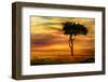 Impala at African Sunset Background-Byelikova Oksana-Framed Photographic Print