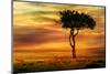 Impala at African Sunset Background-Byelikova Oksana-Mounted Photographic Print