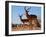 Impala bucks, 2019,-Eric Meyer-Framed Photographic Print