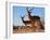 Impala bucks, 2019,-Eric Meyer-Framed Photographic Print