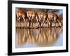 Impala drinking, 2019,-Eric Meyer-Framed Photographic Print