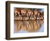 Impala drinking, 2019,-Eric Meyer-Framed Photographic Print