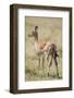 Impala Giving Birth on Savanna-Paul Souders-Framed Photographic Print