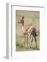 Impala Giving Birth on Savanna-Paul Souders-Framed Photographic Print